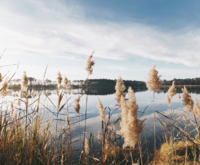 頁面6 谷歌搜索引擎結(jié)果頁的變遷